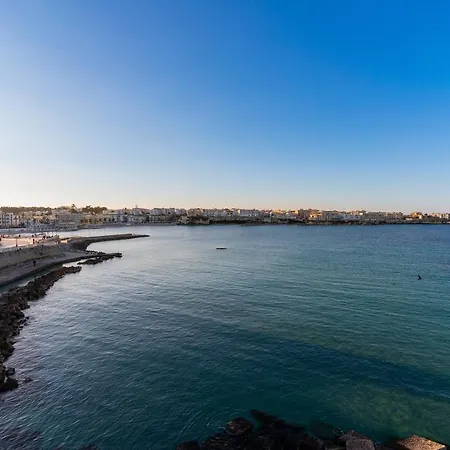 Ulivo * Otranto